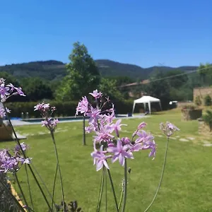 Couette-café Alba Morus Sentiti A Casa Nel Cuo